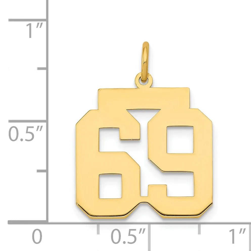 14K Yellow Gold Polished Finish Medium Size Number 69 Charm Pendant