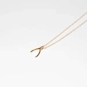 Baby Wishbone Pendant Necklace, Solid Gold