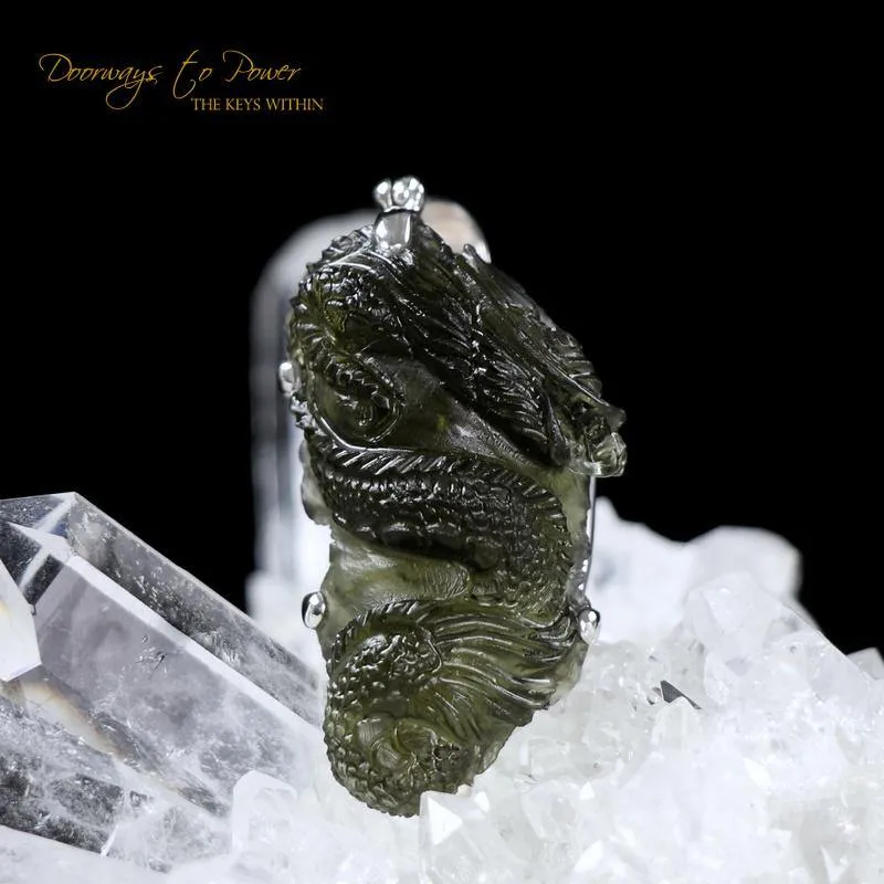 Moldavite Tektite Dragon Necklace Hand Carved 'Museum Quality'