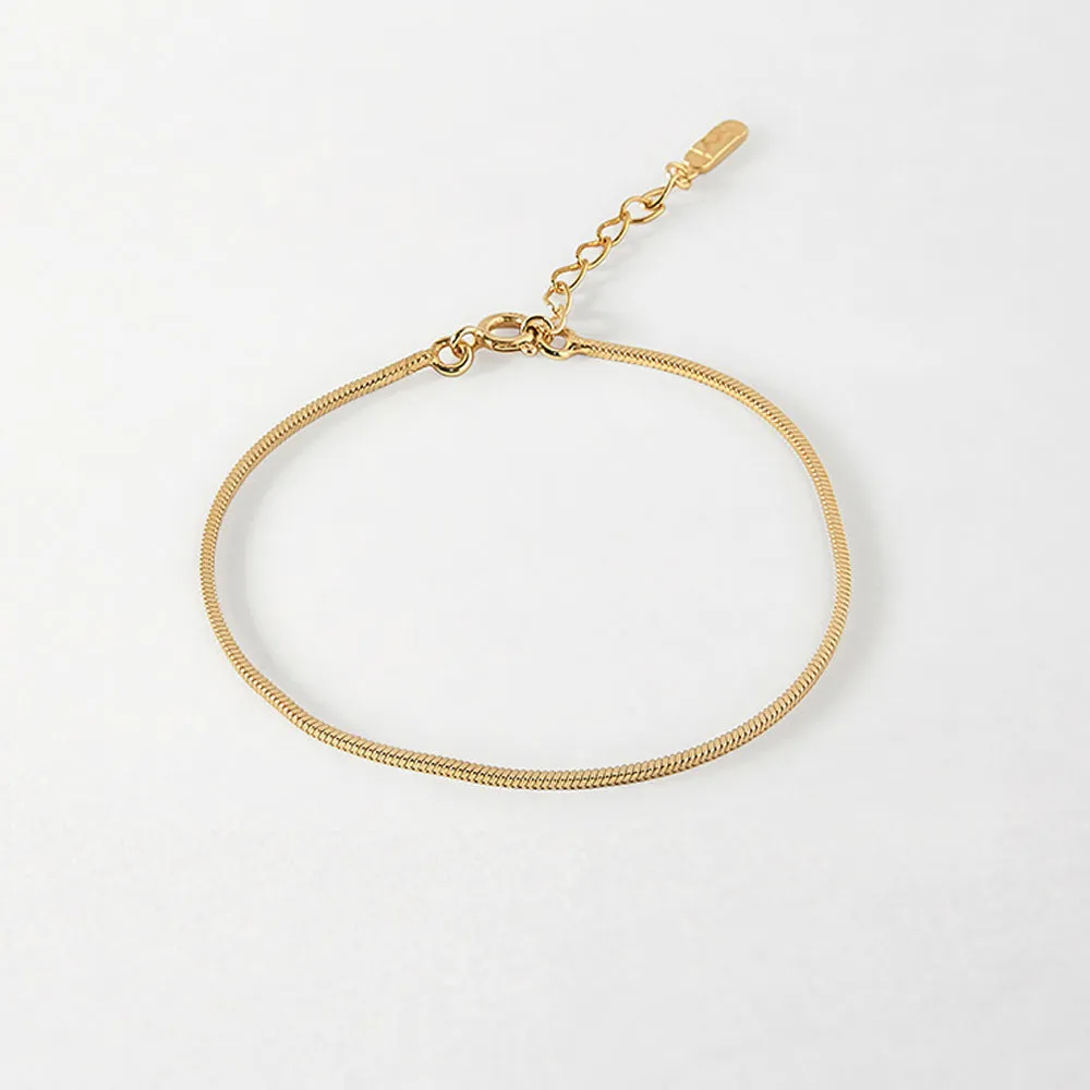 Snake Chain Anklet - Gold